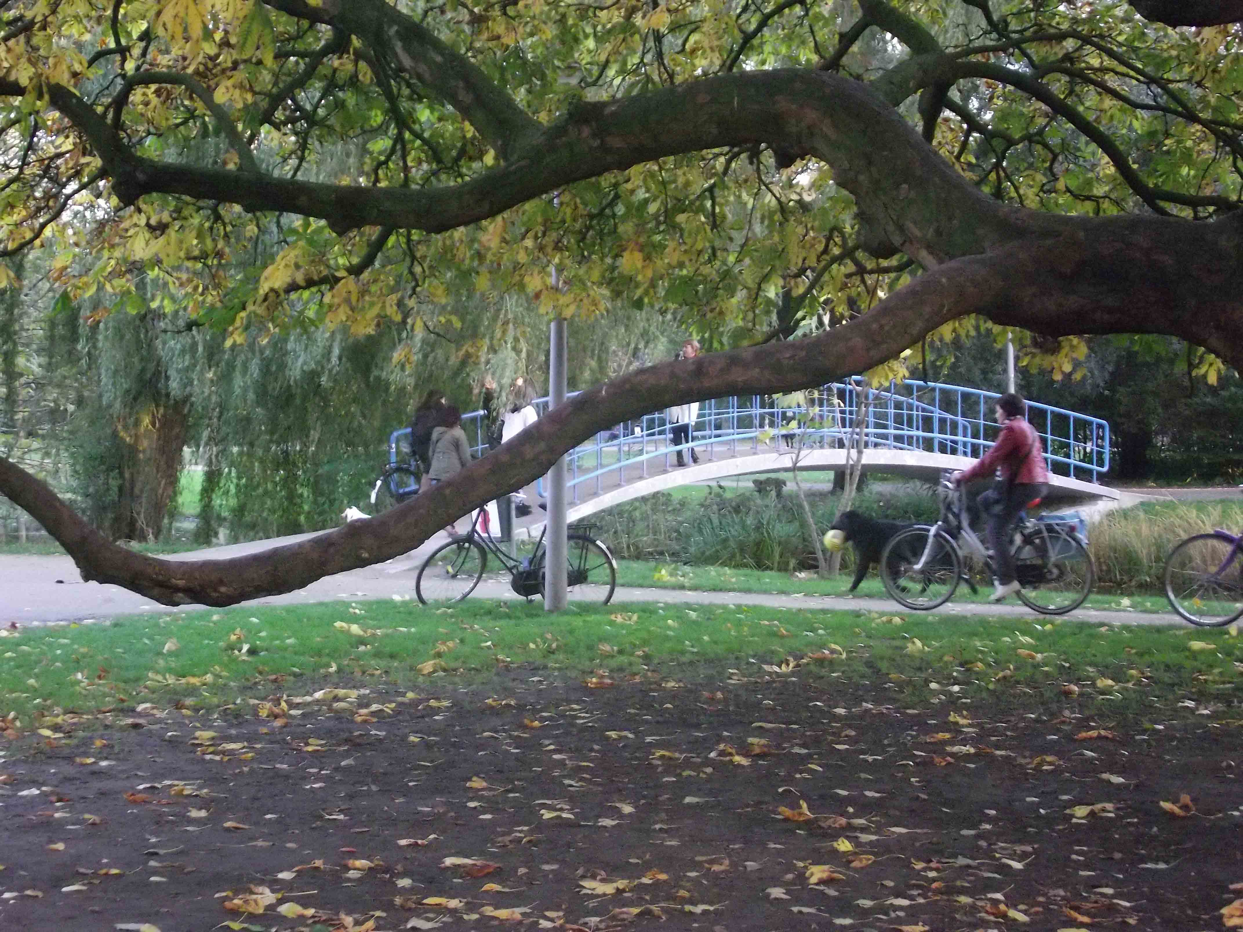 Parque Vondelpark em Amsterdam