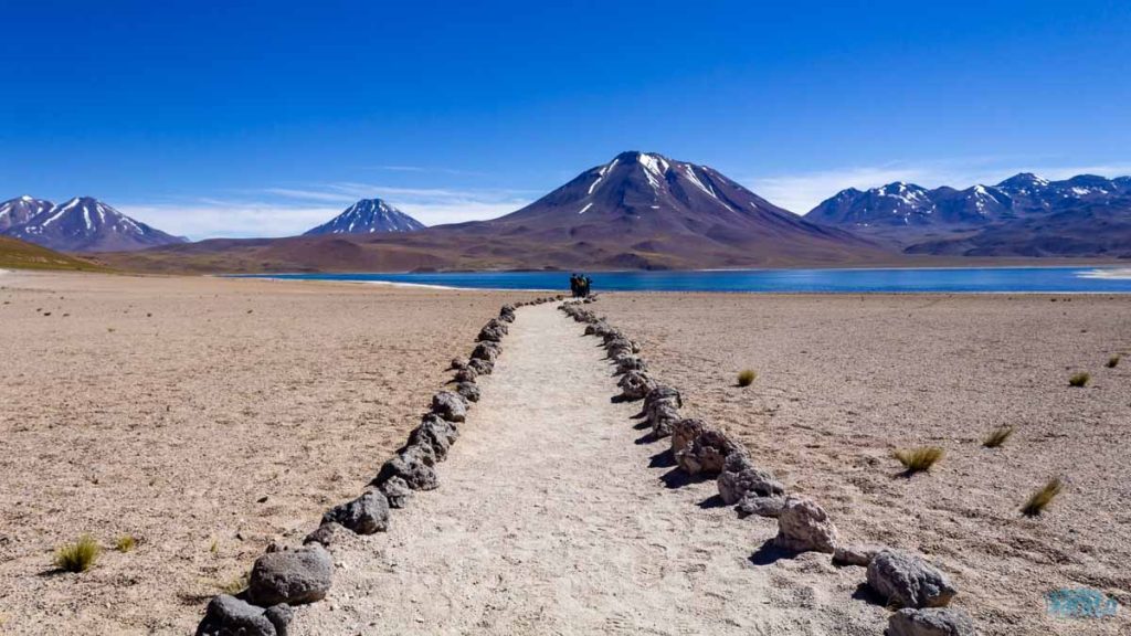Lagunas Altiplanicas no Atacama
