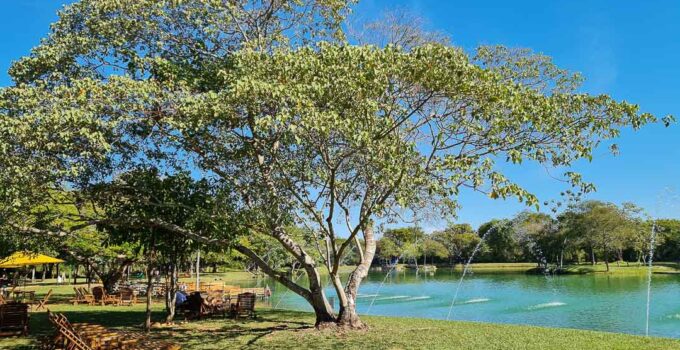 Conheça o Parque Ecológico Rio Formoso em Bonito/MS