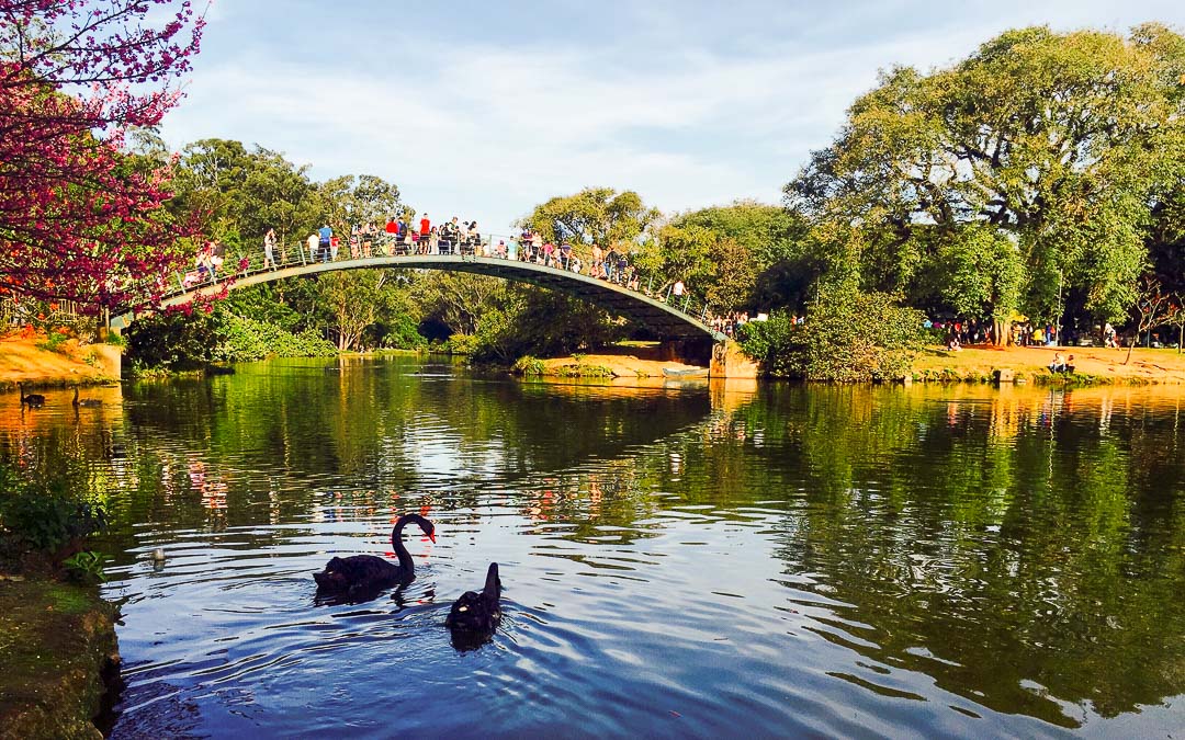 6 Parques Imperdíveis de São Paulo Destinos Notáveis 6 Parques Imperdíveis de São Paulo Destinos Notáveis