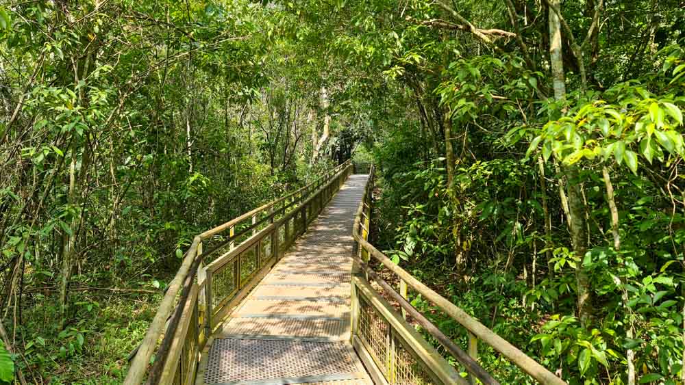 Trilha Parque Nacional Iguazú
