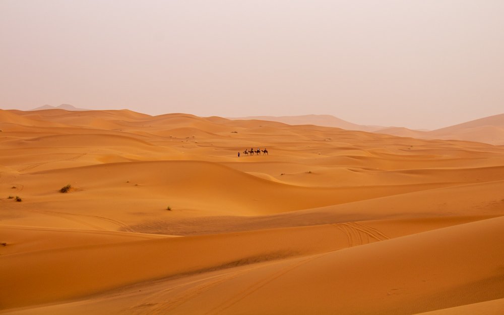 passeios de camelo no Deserto do Saara