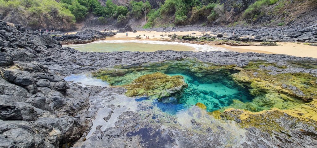 Baía dos Porcos